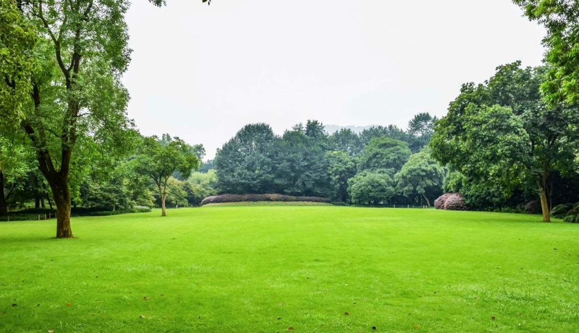 Rozkwit zieleni w mieście: Nowy park na zachodzie Zduńskiej Woli