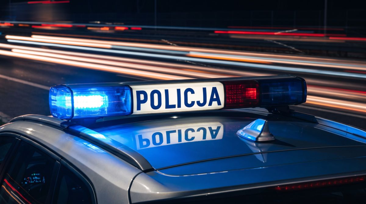 Dzikie zwierzęta na drodze: Jak uniknąć niebezpieczeństwa za kierownicą?